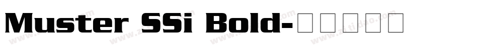 Muster SSi Bold字体转换